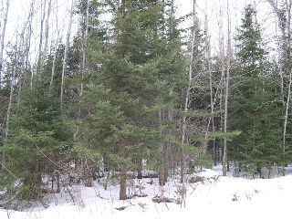 Main Photo: LOT 3 ISLAND VIEW Drive in ST. JOSEPH ISLAND: Vacant Land for sale : MLS®# SM93294