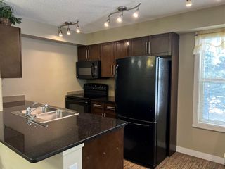 Photo 20: 123 7110 80 Avenue NE in Calgary: Saddle Ridge Apartment for sale : MLS®# A2016796