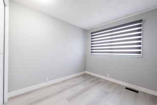 Photo 21: 5401 54 Street NE in Calgary: Falconridge Semi Detached (Half Duplex) for sale : MLS®# A2114518