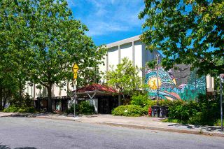 Photo 35: 621 PRINCESS Avenue in Vancouver: Strathcona House for sale in "STRATHCONA" (Vancouver East)  : MLS®# R2459685