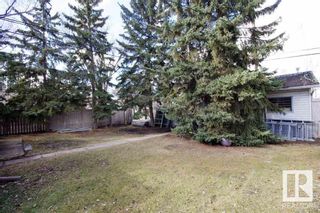 Photo 16: 10103 143 Street in Edmonton: Zone 21 House for sale : MLS®# E4383456