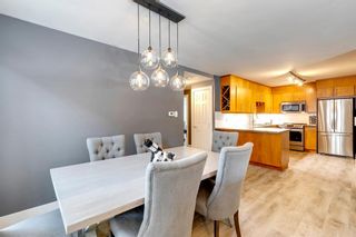 Photo 4: 201 350 4 Avenue NE in Calgary: Crescent Heights Apartment for sale : MLS®# A2034659