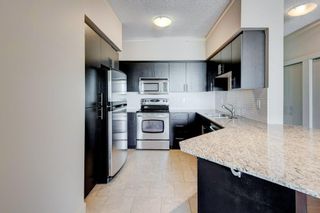 Photo 14: 2007 8710 Horton Road SW in Calgary: Haysboro Apartment for sale : MLS®# A2002865