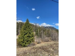 Photo 7: 201 JOLIFFE WAY in Rossland: Vacant Land for sale : MLS®# 2475917