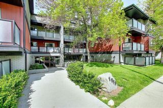 Photo 17: 309 1915 26 Street SW in Calgary: Killarney/Glengarry Apartment for sale : MLS®# A1078852