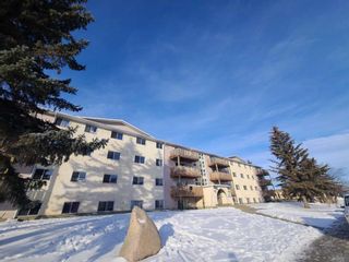 Photo 24: 201 7802 99 Street: Peace River Apartment for sale : MLS®# A2104183