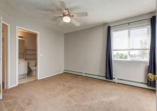 Photo 9: 306 4306 Valleyview Park SE in Calgary: Dover Apartment for sale : MLS®# A2002811