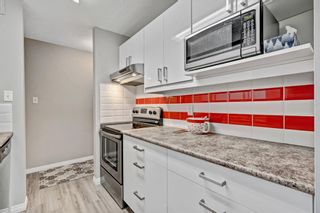Photo 15: 511 8948 Elbow Drive SW in Calgary: Haysboro Apartment for sale : MLS®# A2019611