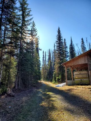 Photo 35: 6989 BOWRON LAKE Road in Wells / Barkerville: Wells/Barkerville House for sale (Quesnel)  : MLS®# R2792631