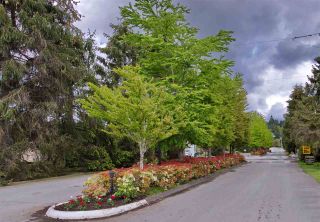 Photo 16: 274 201 CAYER Street in Coquitlam: Maillardville Manufactured Home for sale : MLS®# R2163814
