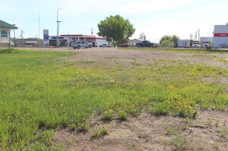 Photo 3: 430 Main Street: Manning Commercial Land for sale : MLS®# A2127789
