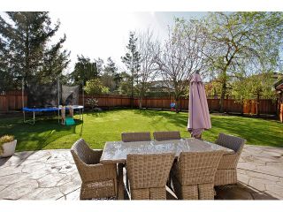 Photo 19: 21568 48 Avenue in Langley: Murrayville House for sale in "Murrayville" : MLS®# F1446378