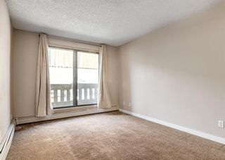 Photo 9: 7 3911 1 Street NE in Calgary: Highland Park Apartment for sale : MLS®# A1219732