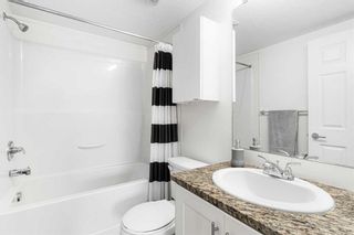 Photo 31: 6311 755 Copperpond Boulevard SE in Calgary: Copperfield Apartment for sale : MLS®# A2125920