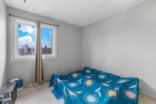 Photo 16: 77 Castlebrook Way NE in Calgary: Castleridge Semi Detached (Half Duplex) for sale : MLS®# A2130628