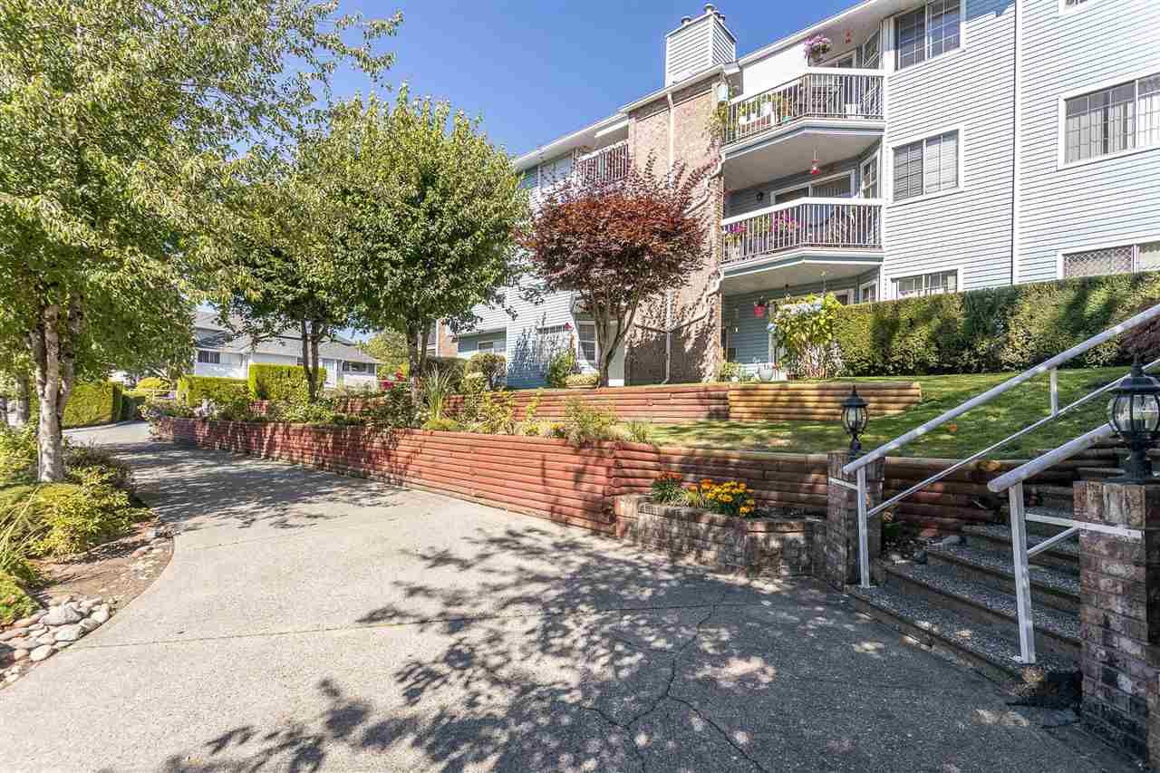 Main Photo: 117 11510 225 Street in Maple Ridge: East Central Condo for sale in "RIVERSIDE" : MLS®# R2541802