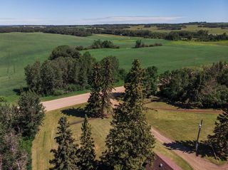 Photo 43: 24021 Township Road 374: Rural Red Deer County Detached for sale : MLS®# A2033932