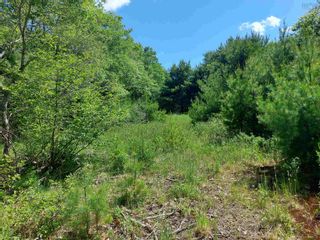 Photo 16: Lot Bowers Road in Lower Ohio: 407-Shelburne County Vacant Land for sale (South Shore)  : MLS®# 202413708