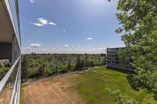 Photo 20: 602 3204 Rideau Place SW in Calgary: Rideau Park Apartment for sale : MLS®# A2053068