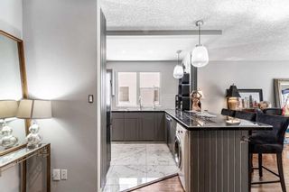 Photo 16: 202 912 19 Avenue SW in Calgary: Lower Mount Royal Apartment for sale : MLS®# A2113538