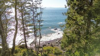 Photo 11: 10901 West Coast Rd in Sooke: Sk French Beach House for sale : MLS®# 944433