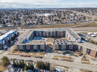 Photo 40: 6409 11811 Lake Fraser Drive SE in Calgary: Lake Bonavista Apartment for sale : MLS®# A2115227