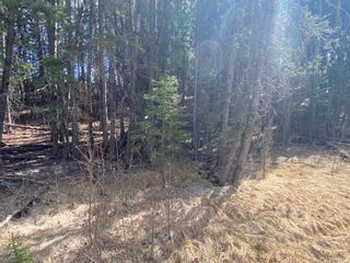 Photo 2: 175 Woodfrog Way: Rural Mountain View County Residential Land for sale : MLS®# A2016010