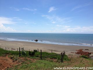 Photo 8: Oceanfront land for sale in Las Tablas