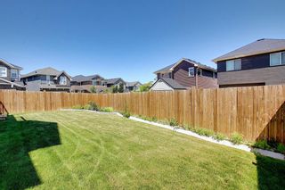 Photo 45: 163 Nolancrest Rise NW in Calgary: Nolan Hill Detached for sale : MLS®# A1125952