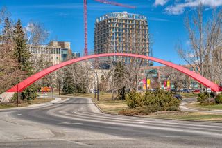 Photo 38: 4084 Kovitz Lane NW in Calgary: University District Row/Townhouse for sale : MLS®# A1226830