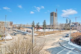 Photo 18: 31 1703 11 Avenue SW in Calgary: Sunalta Apartment for sale : MLS®# A2032556