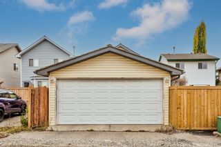 Photo 43: 16 Mt Aberdeen Close SE in Calgary: McKenzie Lake Detached for sale : MLS®# A1153996