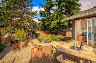 Photo 16: 2532 Asquith St in Victoria: Vi Oaklands House for sale : MLS®# 703312