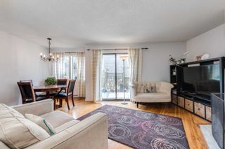 Photo 3: 8 251 W 14TH Street in North Vancouver: Central Lonsdale Townhouse for sale : MLS®# R2657124