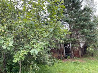 Photo 5: 1038 Scotsburn Road in West Branch: 108-Rural Pictou County Vacant Land for sale (Northern Region)  : MLS®# 202316476