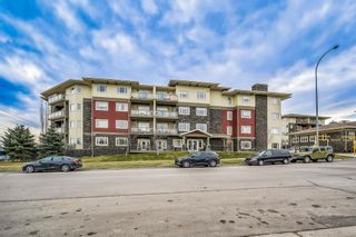 Photo 6: 210 11 Millrise Drive in Calgary: Millrise Apartment for sale : MLS®# A2045725