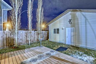 Photo 42: 40 Elgin Meadows View SE in Calgary: McKenzie Towne Semi Detached (Half Duplex) for sale : MLS®# A2104824