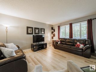 Photo 12: 16311 58 Street NW in Edmonton: Zone 03 House for sale : MLS®# E4330982