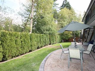 Photo 3: 23803 115A Avenue in Maple Ridge: Cottonwood MR House for sale : MLS®# R2003045