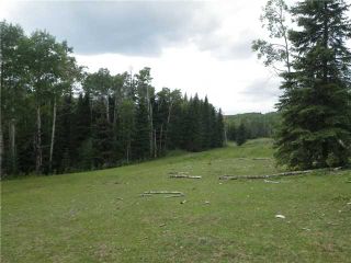 Photo 14: 2 miles west of Dartique Hall in COCHRANE: Rural Rocky View MD Rural Land for sale : MLS®# C3545361