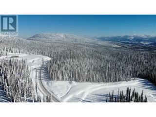 Photo 2: DL4259 Black Forest Road in Big White: Vacant Land for sale : MLS®# 10307889