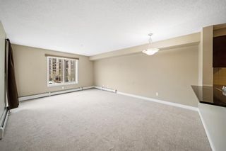 Photo 10: 9208 403 Mackenzie Way SW: Airdrie Apartment for sale : MLS®# A1214920