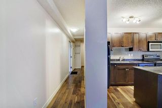Photo 5: 101 4127 Bow Trail SW in Calgary: Rosscarrock Apartment for sale : MLS®# A1157364