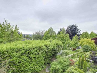 Photo 3: 4490 PINE Crescent in Vancouver: Shaughnessy House for sale in "Shaughnessy" (Vancouver West)  : MLS®# R2183712