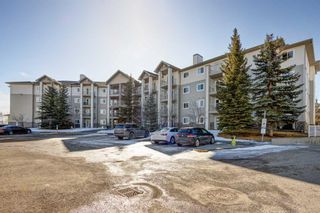 Main Photo: 337 5000 Somervale Court SW in Calgary: Somerset Apartment for sale : MLS®# A2113565