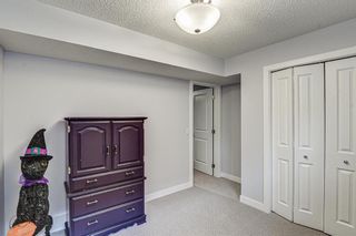 Photo 28: 278 Chaparral Valley Drive SE in Calgary: Chaparral Detached for sale : MLS®# A1197522