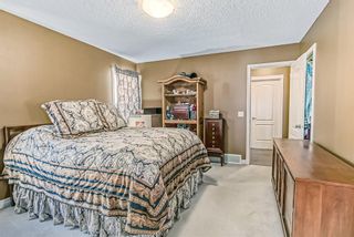 Photo 25: 173 HAWKMERE Close: Chestermere Detached for sale : MLS®# A2025431