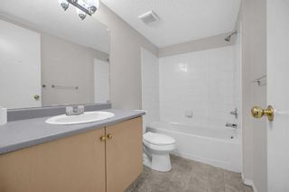 Photo 25: 335 1717 60 Street SE in Calgary: Red Carpet Apartment for sale : MLS®# A2141879