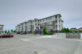 Photo 41: 3306 522 Cranford Drive SE in Calgary: Cranston Apartment for sale : MLS®# A1227906