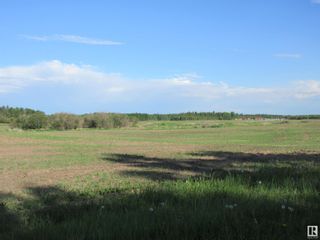 Photo 2: Twp Rd 612 RR 223: Rural Thorhild County Vacant Lot/Land for sale : MLS®# E4318876